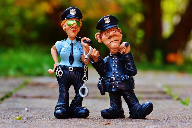 policie